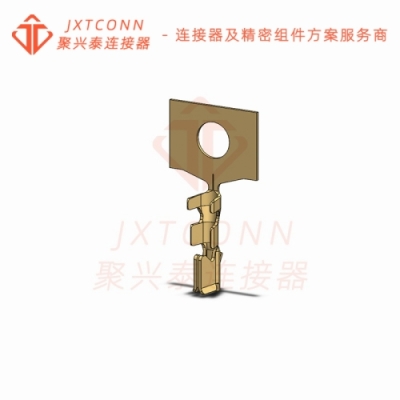 B1001-2DP1